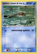 quinten zwemt
