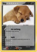dog