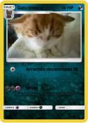 Gato triste :(