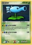 ice plant