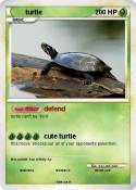 turtle