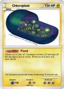 Chloroplast
