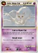 Artic Ninja Cat
