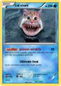 Cat shark