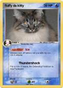 fluffy da kitty