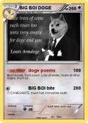 BIG BOI DOGE