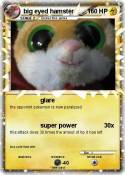 big eyed hamster big eyed