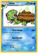 Turdle