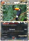 Toco Toucan
