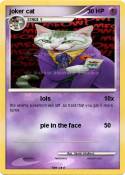 joker cat