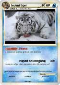 ledeni tiger