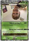 Toby Monkey Boy