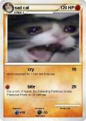 sad cat