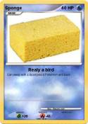 Sponge