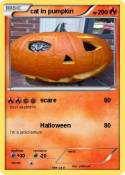cat in pumpkin