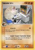 hamster lvl x
