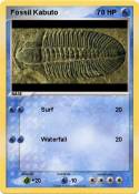 Fossil Kabuto
