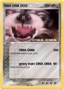 OWA OWA DOG OWA OWA DOG