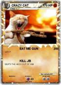 CRAZY CAT