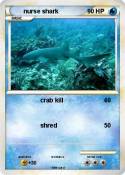 nurse shark