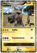 kangroo