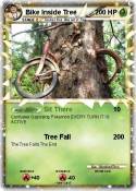 Bike Inside Tree Bike Inside