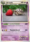 cute turtle