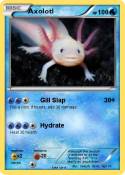 Axolotl Axolotl