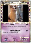 Smling Cat