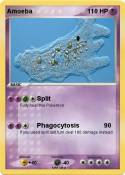 Amoeba