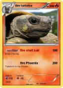 fire tortoise