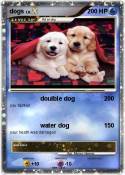 dogs