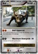 Bull