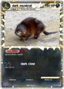 dark muskrat