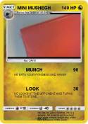MINI MUSHEGH
