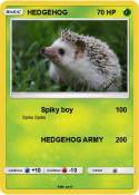 HEDGEHOG