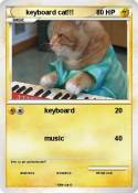 keyboard cat!!!