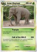 Asian Elephant