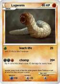 Lugworm
