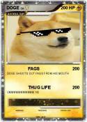 DOGE