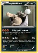 De poes kittens