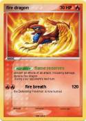 fire dragon