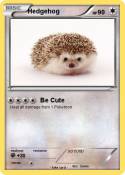 Hedgehog