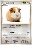 guinea pig