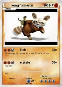 kung fu master
