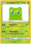 Crying Duo