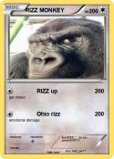 RIZZ MONKEY