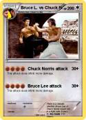 Bruce L. vs Chuck N. Bruce L. vs