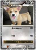 Corgi