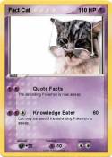 Fact Cat